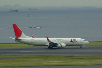 2008年5月19日JAL737-800 001トリ.jpg
