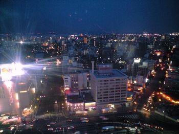2008年鹿児島旅行羽田にて携帯写真 018.jpg
