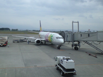 2008年鹿児島旅行羽田にて携帯写真 042.jpg