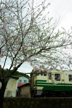 2009年4月27日（月）PENTAX桜と男鹿線ブログ用.jpg