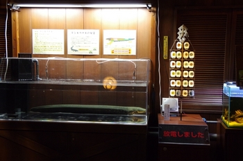 2014年7月19日（土）男鹿水族館GAO・K3保存用 084.jpg